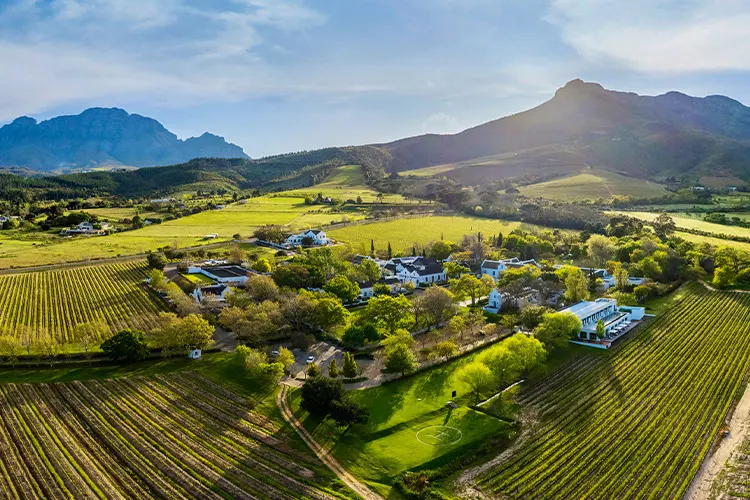 Cape Winelands Retreat